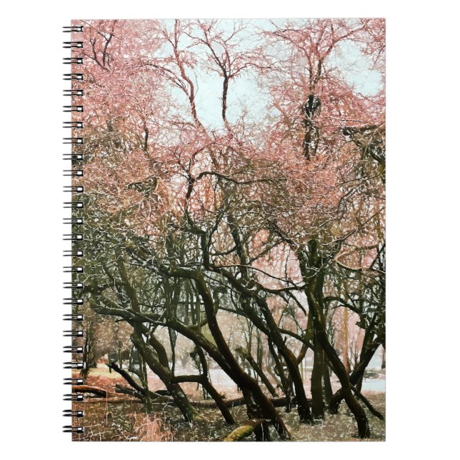 CUADERNO ÁRBOLES (Frente)