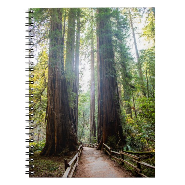 Cuaderno Árboles altos (Frente)