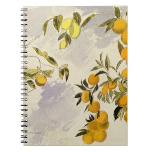 Cuaderno Árboles anaranjados, 1863 (w/c, pluma y tinta