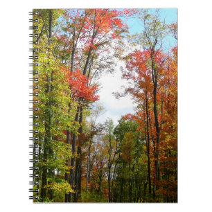 Cuaderno Árboles caídos y fotografía de la naturaleza otoña