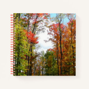 Cuaderno Árboles caídos y fotografía de la naturaleza otoña