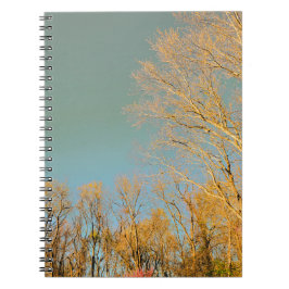 Cuaderno Árboles con vista cielo de tormenta