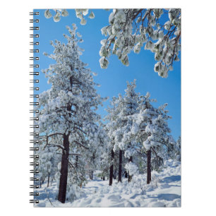 Cuaderno Árboles cubiertos de nieve en las montañas Laguna