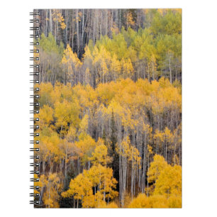 Cuaderno Árboles de Aspen   Bosque Nacional del Río Blanco