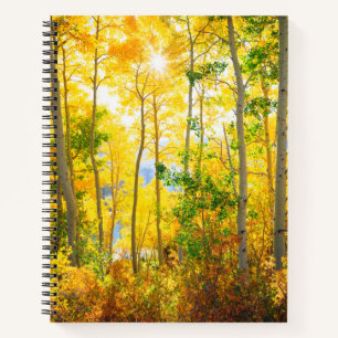 Cuaderno Árboles de Aspen en Otoño Sierra Nevada Mountain