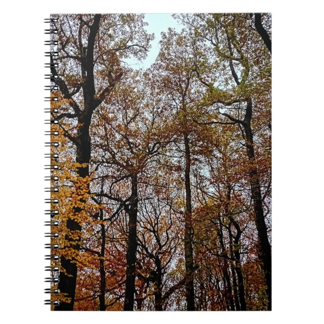 Cuaderno Árboles de color (Frente)
