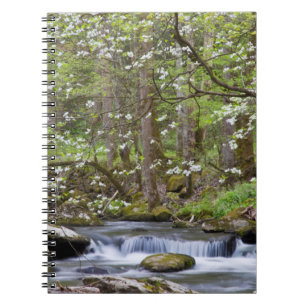 Cuaderno Árboles de Cornejo Gran Montaña Humeante, Tennes