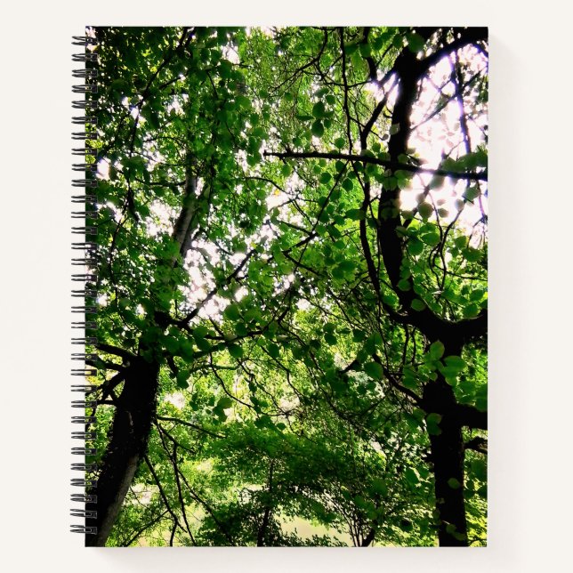 Cuaderno Árboles de Durham (Anverso)