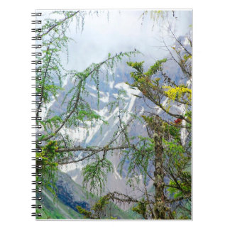 Cuaderno árboles de montaña, árboles naturales, paisaje for