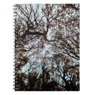 Cuaderno Árboles de otoño