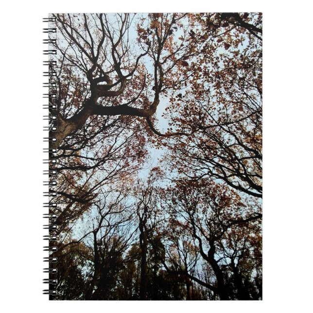 Cuaderno Árboles de otoño (Frente)