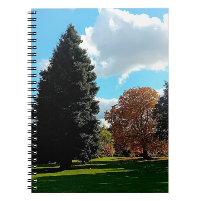 Cuaderno Árboles de otoño (Frente)
