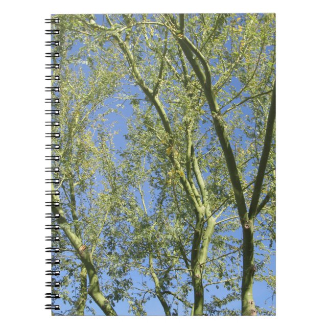 Cuaderno Árboles de Palo Verde (Frente)