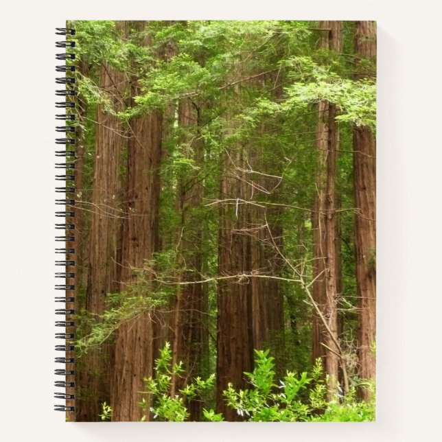 Cuaderno Árboles de secuoya en monumento nacional Muir Wood (Anverso)