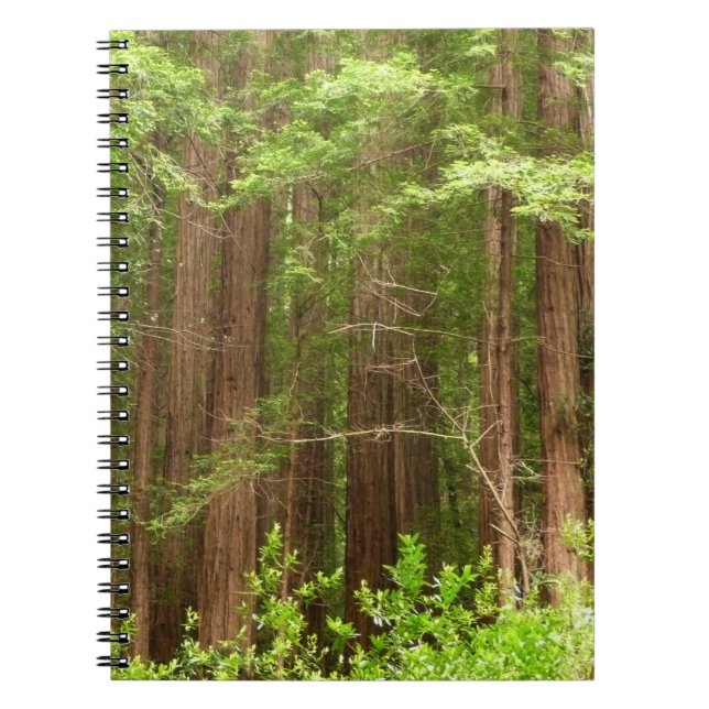 Cuaderno Árboles de secuoya en monumento nacional Muir Wood (Frente)