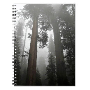 Cuaderno Árboles de secuoyas gigantes en niebla, CA