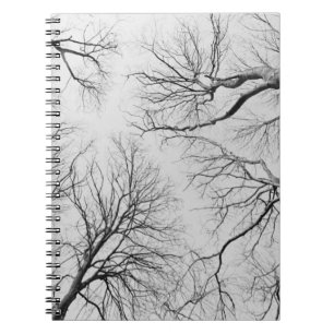Cuaderno Árboles deshojados en la madera de Thiepval