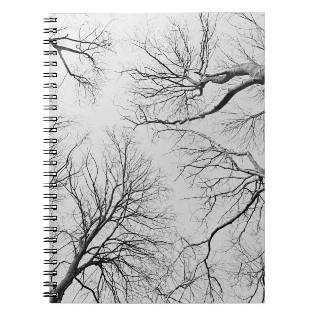 Cuaderno Árboles deshojados en la madera de Thiepval (Frente)