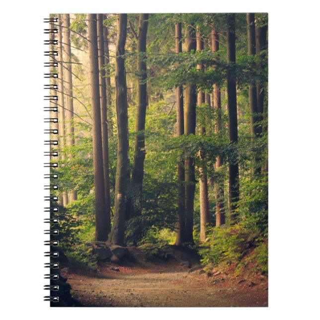 CUADERNO ÁRBOLES FORESTALES (Frente)