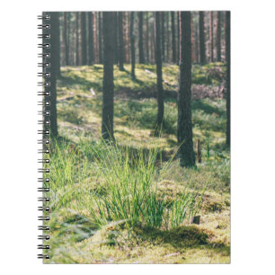 Cuaderno Árboles forestales. Madera verde natural fondo sol