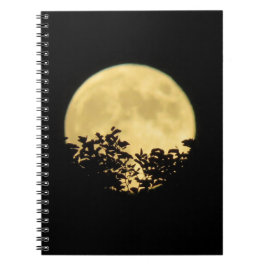 Cuaderno Árboles iluminados por la luna llena