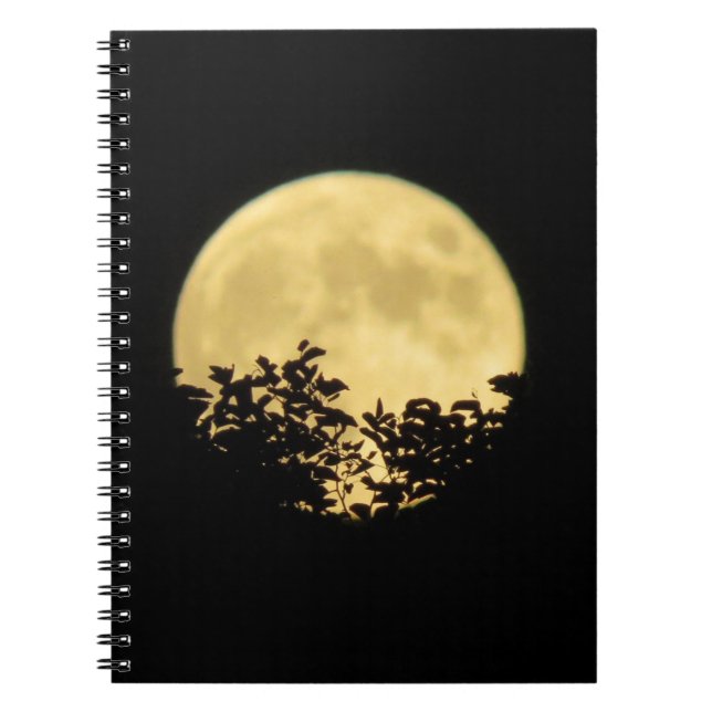 Cuaderno Árboles iluminados por la luna llena (Frente)