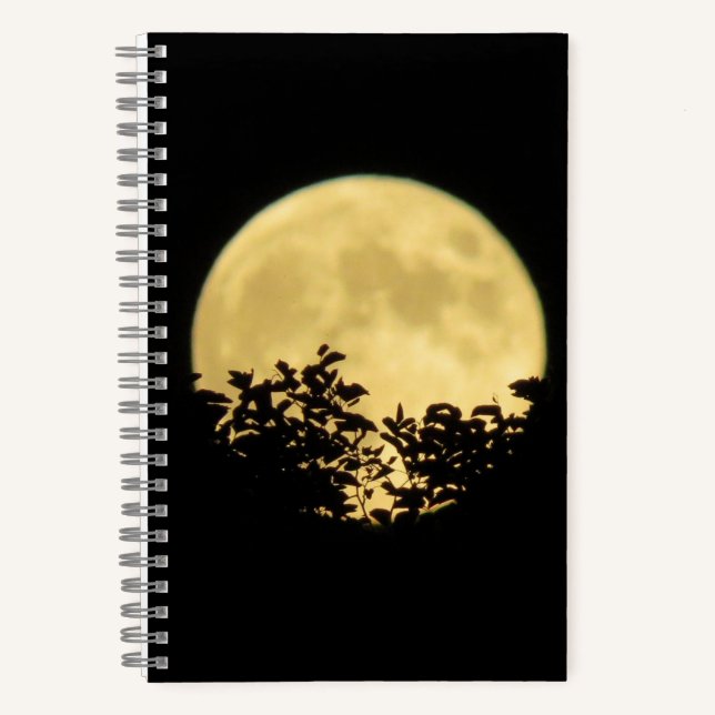 Cuaderno Árboles iluminados por la luna llena (Anverso)