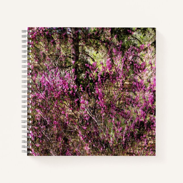 Cuaderno Árboles Red Bud...... (Anverso)