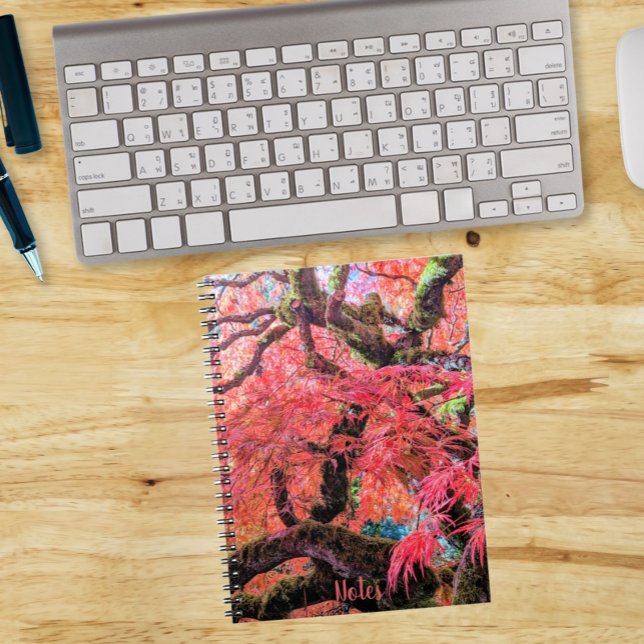 Cuaderno Arce Japonés de Hoja de Encaje Colorido (In Situ)