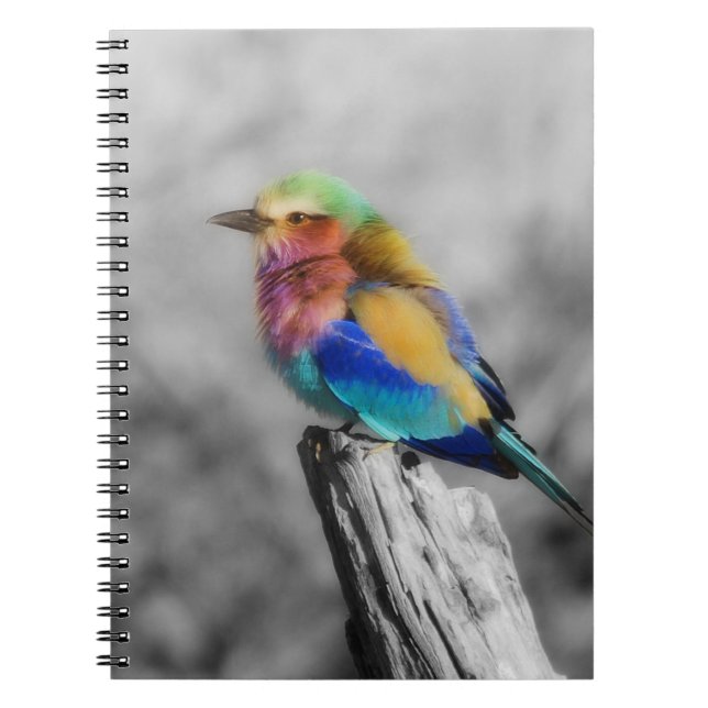 Cuaderno Arcoiris (Frente)
