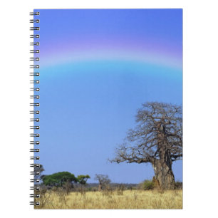 Cuaderno Arcoíris y baobab africano, Adansonia