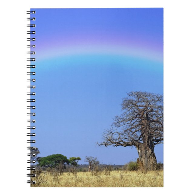 Cuaderno Arcoíris y baobab africano, Adansonia (Frente)