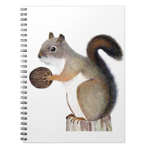 Cuaderno Ardilla