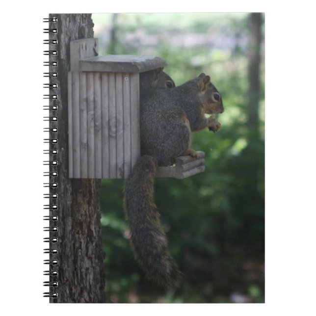 Cuaderno Ardilla (Frente)