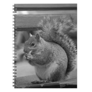 Cuaderno Ardilla