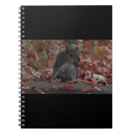 Cuaderno Ardilla