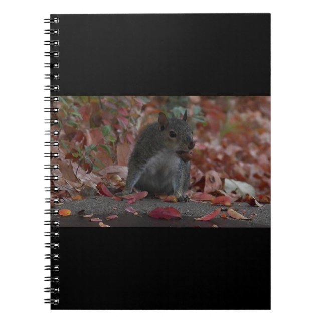 Cuaderno Ardilla (Frente)