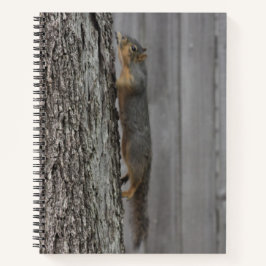 Cuaderno Ardilla
