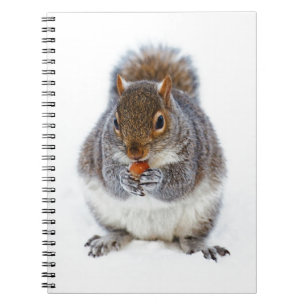 Cuaderno Ardilla comiendo una nuez en la nieve invernal