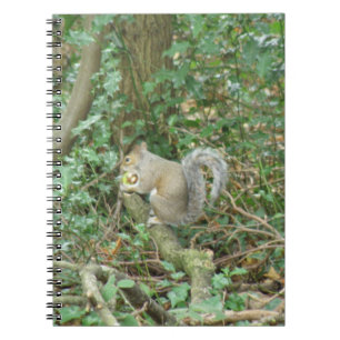 Cuaderno Ardilla con bloc de notas de maíz