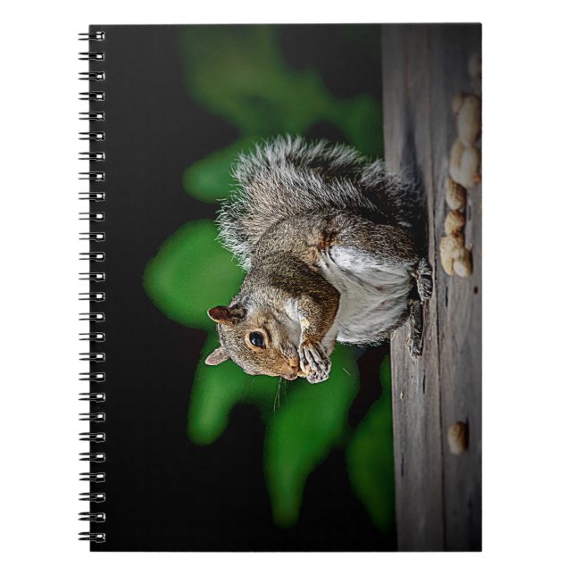 Cuaderno Ardilla con cacahuetes (Frente)