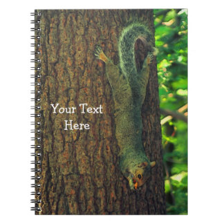 Cuaderno Ardilla Cuta En Un Animal Ártico
