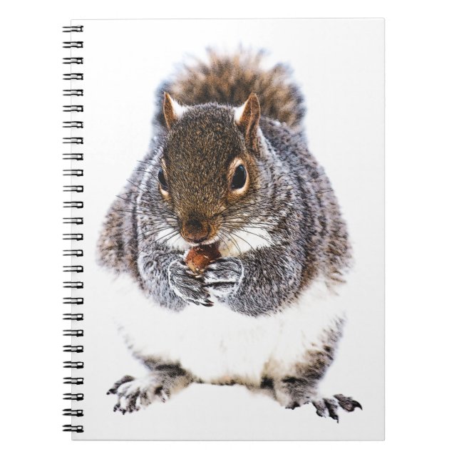 Cuaderno Ardilla de comer (Frente)