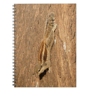 Cuaderno Ardilla de palma india en un tronco de árbol