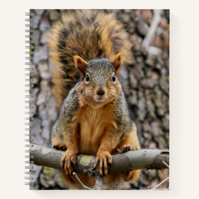 Cuaderno Ardilla de zorro falso (Anverso)
