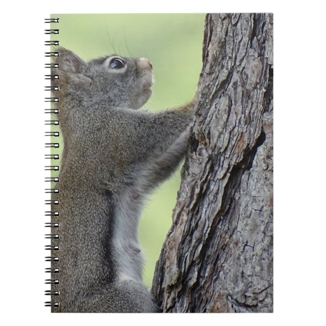 Cuaderno Ardilla en el árbol (Frente)