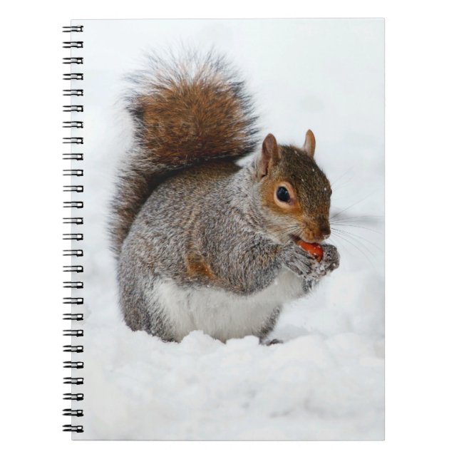 Cuaderno ardilla en nieve con portátil Berry (Frente)