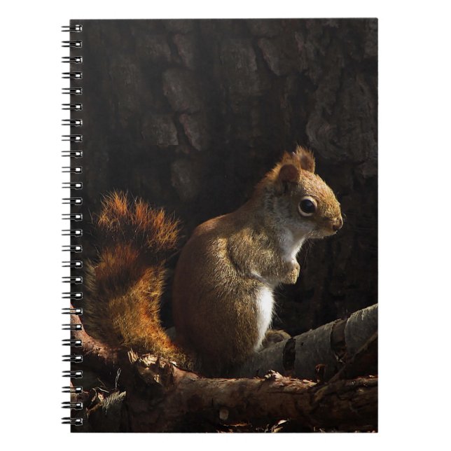 Cuaderno Ardilla en un remiendo de la luz del sol (Frente)