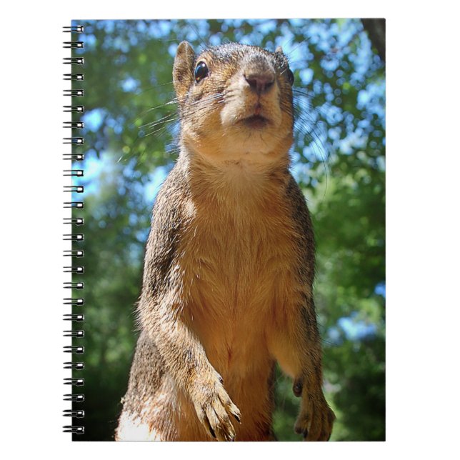 Cuaderno Ardilla erguida (Frente)