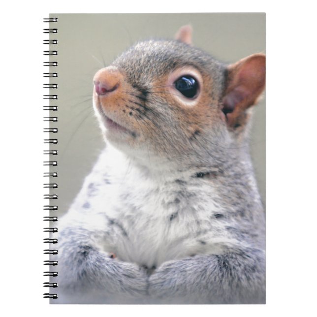 Cuaderno Ardilla gris suave y suave (Frente)